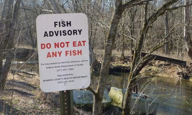 PFAS: All fish in Michigan’s Huron River unsafe to eat