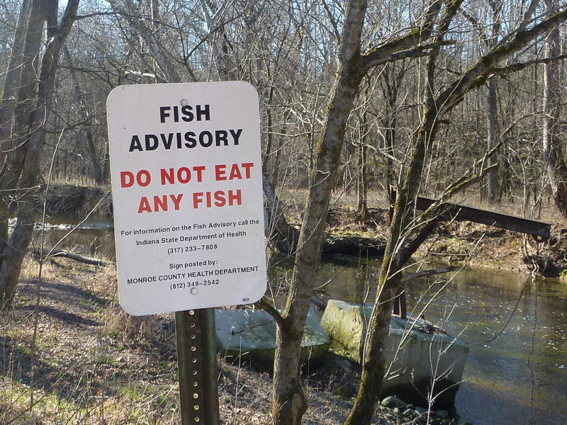 PFAS: All fish in Michigan’s Huron River unsafe to eat