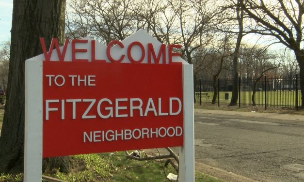 A closer look at the Fitzgerald community