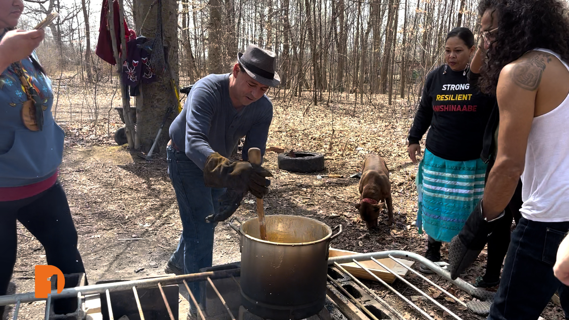 Michigan's Indigenous Legacy: A Journey Through Diverse Tribes and Rich History