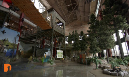 Outdoor Adventure Center brings Michigan’s nature and recreation to Detroit
