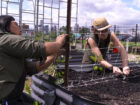 Volunteers plant seeds in a raised garden bed for Keep Growing Detroit.