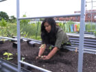 Keep Growing Detroit Engagement Manager Danielle Daguio plants seeds in a raised garden bed.